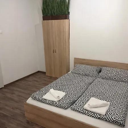 Pajkos Póni Miskolc